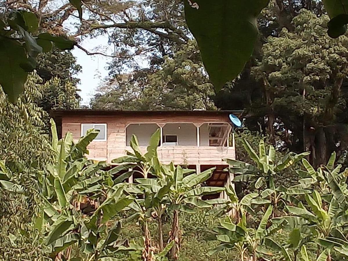 Villa Casa De Andrea Santo António Esterno foto