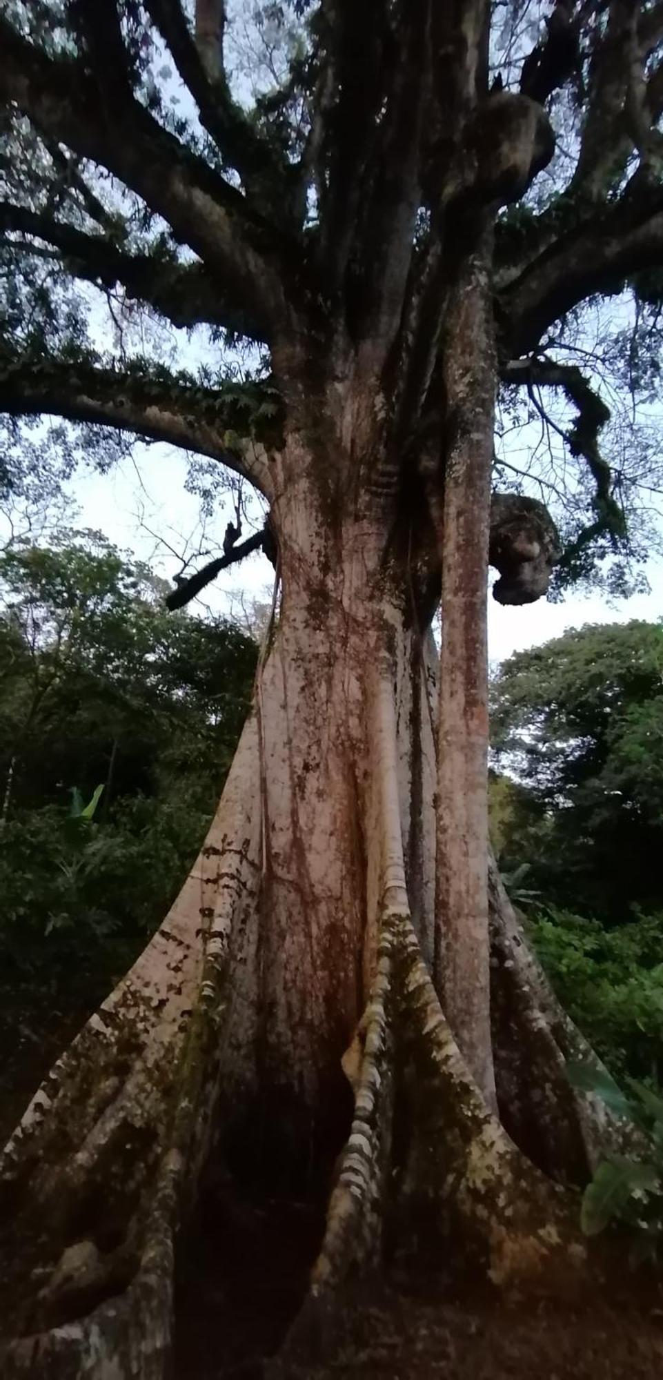 Villa Casa De Andrea Santo António Esterno foto
