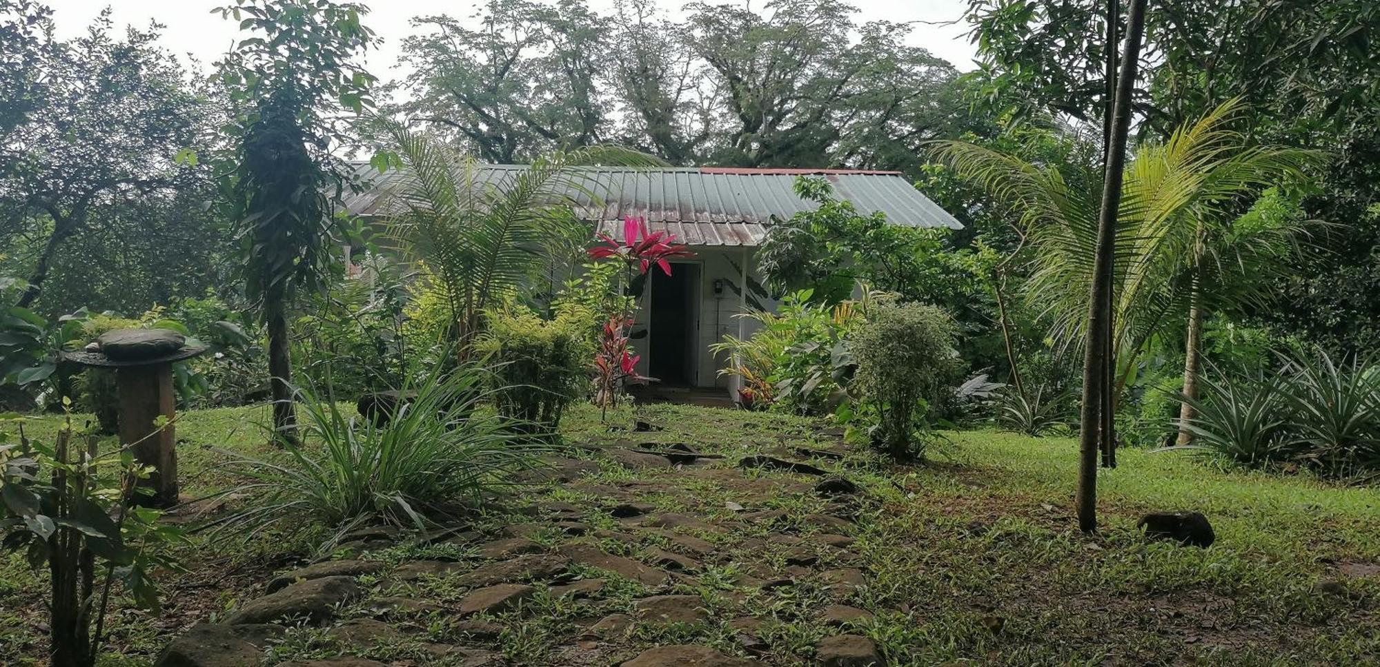 Villa Casa De Andrea Santo António Esterno foto