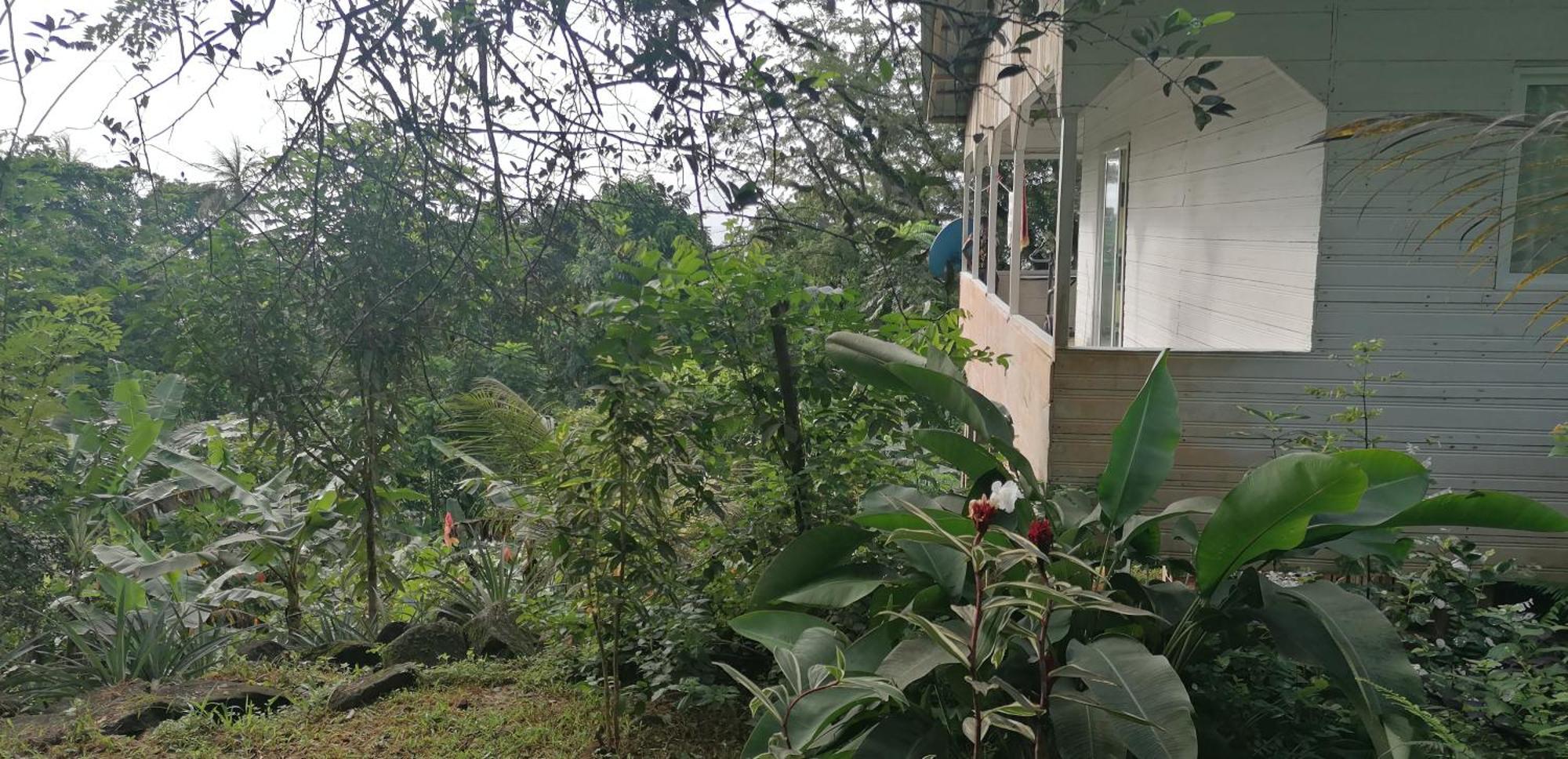 Villa Casa De Andrea Santo António Esterno foto