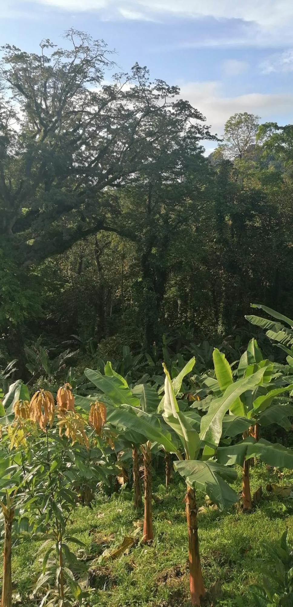 Villa Casa De Andrea Santo António Esterno foto
